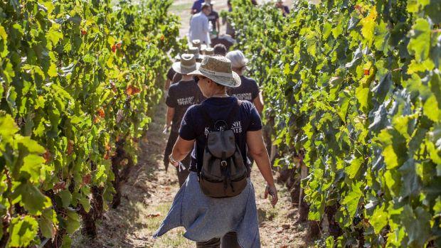 Kiryianni- Image 3 Kiryianni- Image 3